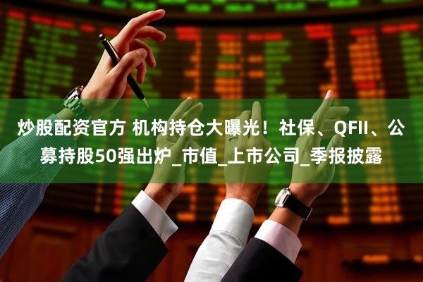 炒股配资官方 机构持仓大曝光！社保、QFII、公募持股50强出炉_市值_上市公司_季报披露